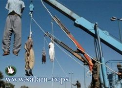 إعدام 5 أشخاص بينهم امرأة بتهمة "معاداة الثورة" في إيران