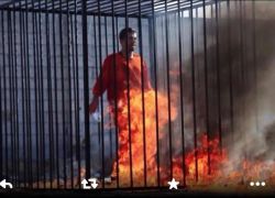 داعش يعدم الطيار معاذ كساسبة حرقا - شاهد الصور