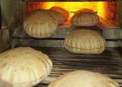 انخفاض أسعار الخبز اليوم في فلسطين