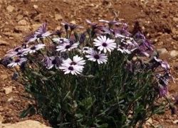 درجات الحرارة أعلى من معدلها السنوي بحدود 10 درجات
