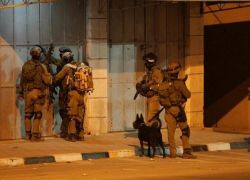 قوات الاحتلال تعتقل شابين من بلدة بيت فوريك شرق مدينة نابلس