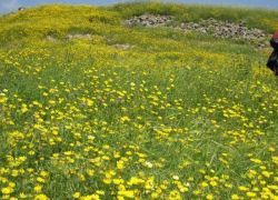 حالة الطقس : الحرارة أعلى من معدلها حتى الجمعة