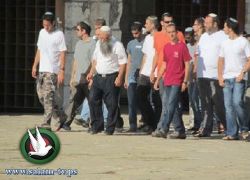 متطرفون يهود يقتحمون المسجد الأقصى