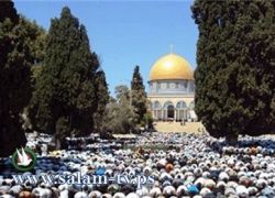 المفتي العام: صلاة عيد الأضحى الساعة السادسة والنصف