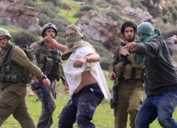 وزير بريطاني يدين عنف المستوطنين في الضفة ويطالب بوقفه