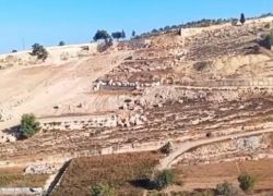 الخليل.. اعتداءات المستوطنين متواصلة والاحتلال يواصل تجريف الأراضي