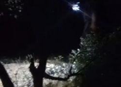 المستوطنون يحطمون عشرات اشجار الزيتون في سوسيا شرق يطا