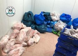 الضابطة الجمركية تضبط 2 طن ونصف لحوم مجهولة المصدر في محافظة طولكرم