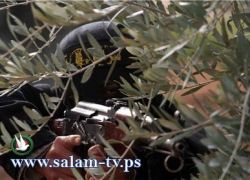 المتحدث باسم سرايا القدس يتوعد الاحتلال بحرب شرسة