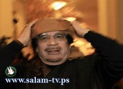 القذافي يسخر من بدانة امير قطر في بث مباشر!