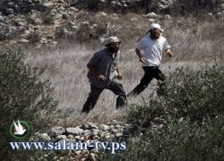مستوطنون يغرقون ارض زراعية بالمياه العادمة ويسرقون جرافة قرب عتصيون