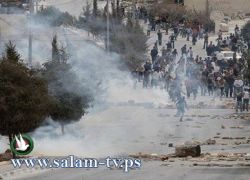 اصابة 10 مواطنين برصاص الاحتلال ومواجهات في سلوان