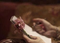 إليك أنت - بقلم : الآء شناعه