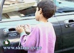 لجنة متابعة ظاهرة التسول والعمالة في طولكرم تقوم بجولة ميدانية