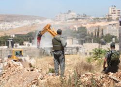 جرافات الاحتلال تهدم 11 منزلاً في بلدة قلنديا شمال القدس