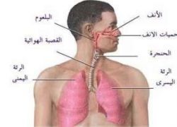 علاج الأرق يخفض ارتفاع ضغط الدم عند الرجال