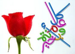 ثلاثة مواعيد مختلفة لبدء عيد الأضحى بالدول الاسلامية