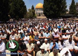 نحو نصف مليون يؤدون صلاة الجمعة اليتيمة في المسجد الأقصى
