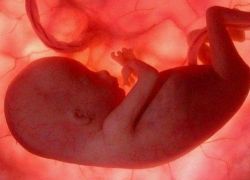 الأجنة يبتسمون ويبكون ويقومون بـ 19 حركة داخل رحم الأم !!