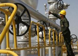 الإمارات تجدد التزامها برفع إنتاجها من النفط