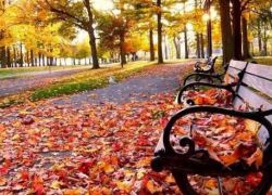 ‘الخريف’ يبدأ اليوم وينتهي بـ 21 ديسمبر