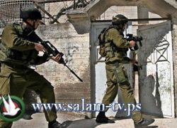 استشهاد طالب جامعي برصاص الاحتلال في مخيم الفارعة