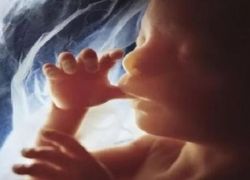 ما العادة السيئة أثناء الحمل التي تغير ملامح الجنين؟