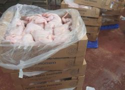 ضبط أكثر من 2 طن من الدجاج المهرب شرق قلقيلية