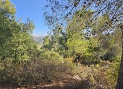 حالة الطقس: أجواء حارة في معظم المناطق