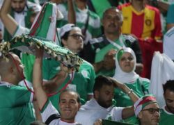 10 طائرات لنقل مشجعي الجزائر قبل مواجهة نيجيريا