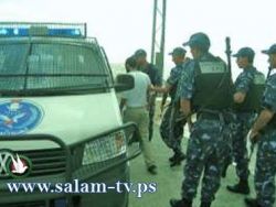 الشرطة تضبط 352 بذرة و 18 شتله مرجوانا في طولكرم