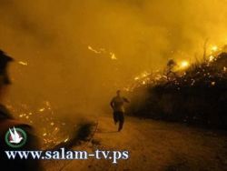 تشخيص 25 جثة من قتلا حريق الكرمل وهناك مفقودين