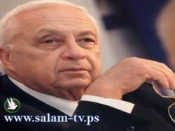 فيلم يكشف قتل شارون الأطفال في مخيم صبرا وشاتيلا