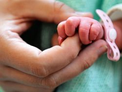 أول رخصة لتقنية المولود "ثلاثي الآباء"