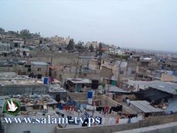 تعيين هشام ابو تمام مديرا لمخيم طولكرم