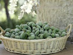 ما الذي تخفيه حبات اللوز الأخضر من فوائد!