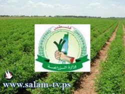 زراعة طولكرم توقع إتفاقية مشروع إنشاء وتشغيل وحدات ري نموذجية