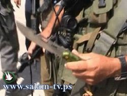 مقتل مواطن طعنا بالسكين وسط مدينة غزة