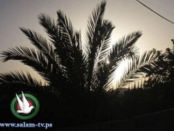 حالة الطقس: لا يطرأ أي تغير على درجات الحرارة