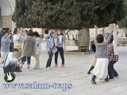 مؤسسة الاقصى: 90 مستوطنا يقتحمون المسجد الاقصى