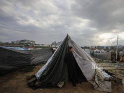 الصليب الأحمر الألماني: أوضاع الإمدادات بغزة مروعة وهي تتفاقم
