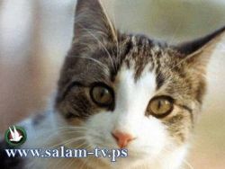 بعد رفض السلطات المصرية.. "ميمي" وإبنتها الأيرلندية تغادران غزة عبر الأنفاق