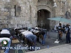 جماعات يهودية تعتزم تنظيم مسيرة استفزازية اليوم في محيط أسوار القدس والاقصى