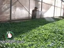 المزرعة السعيدة هروب من الواقع الى الواقع الافتراضي