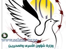 المحررون في الوظيفة العمومية يطالبون بتطبيق قرار منحهم مدير عام