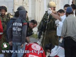 مستوطن يدهس طفلة ويصيبها بجراح في الخليل
