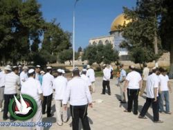 مستوطنون يتقدمهم وزير إسرائيلي يتجولون في باحات المسجد الأقصى