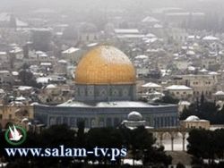 هنية: الثورات العربية على الطغيان مقدمة لتحرير فلسطين