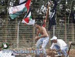 اصابة "حفيد" منيب المصري بجراح خطيرة في مسيرة مارون الراس