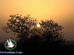 الطقس: درجات الحرارة اعلى من معدلها بحدود 3 درجات مئوية